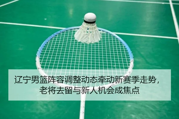 辽宁男篮阵容调整动态牵动新赛季走势，老将去留与新人机会成焦点